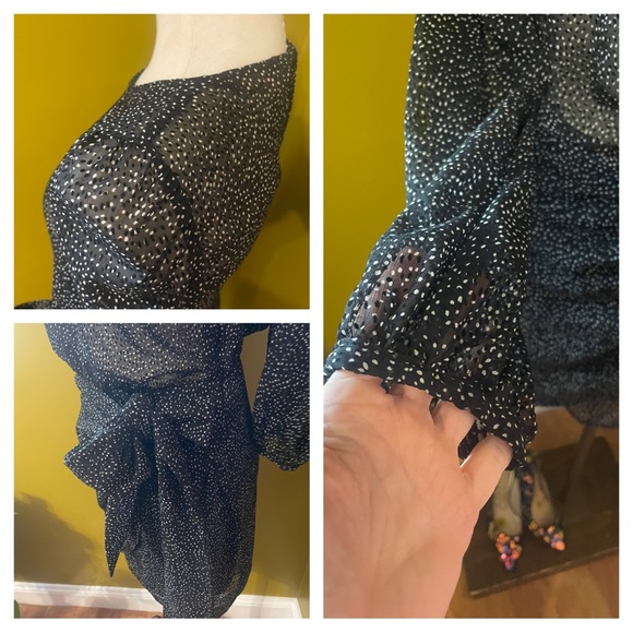 Zara Trafaluc Polka Dot Semi Sheer Mini Dress - Picture 6 of 8